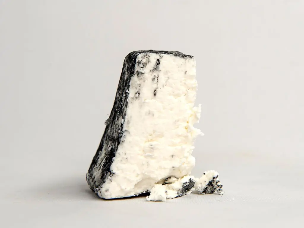 Cerney Ash - section view