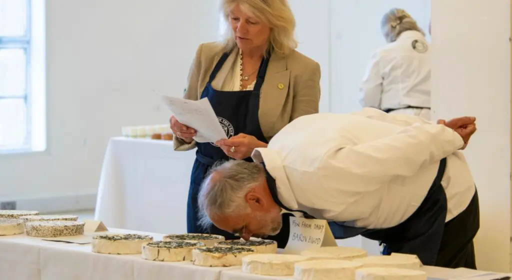 Cheese Judges Sniffing Cheese