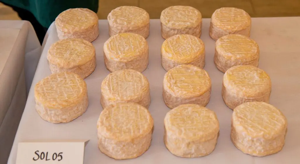 Solstice Washed Rind Cheeses