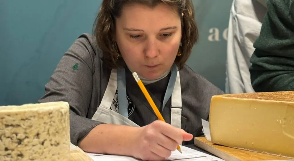 One person holding a pencil, writing on a form, flanked by two cheeses.