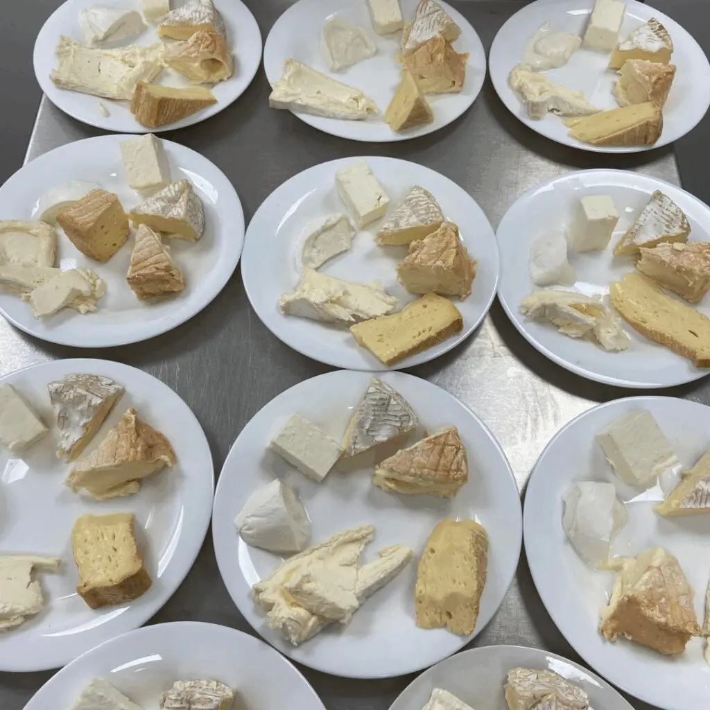 9 white plates of cheese