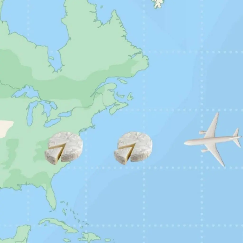 Buying & Distribution