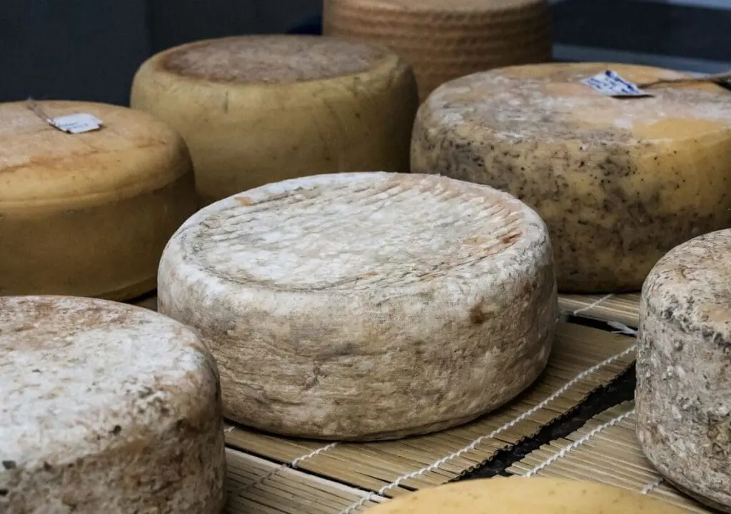A number of round cheeses on mats in a cheese maturation room