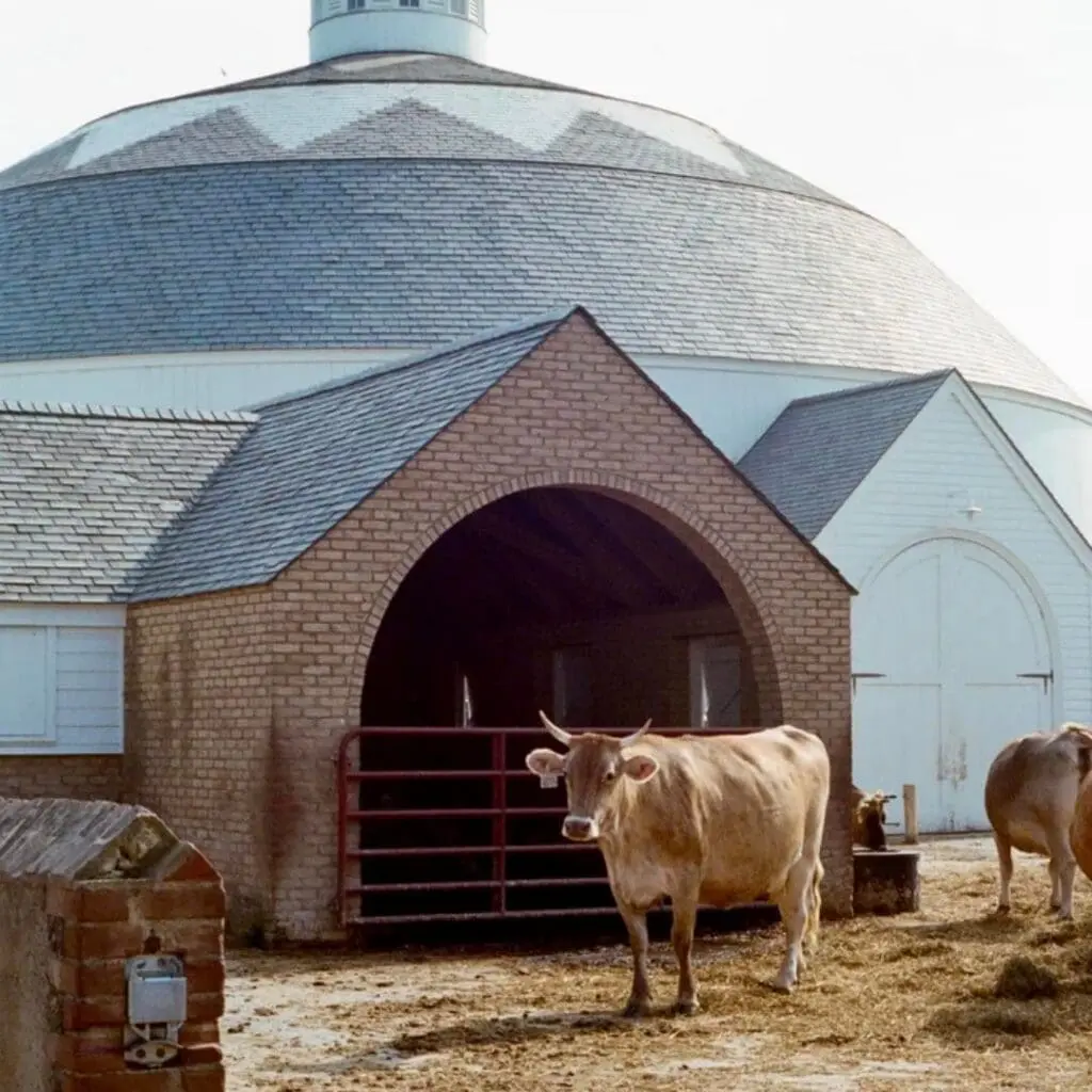 Churchtown Dairy (1)
