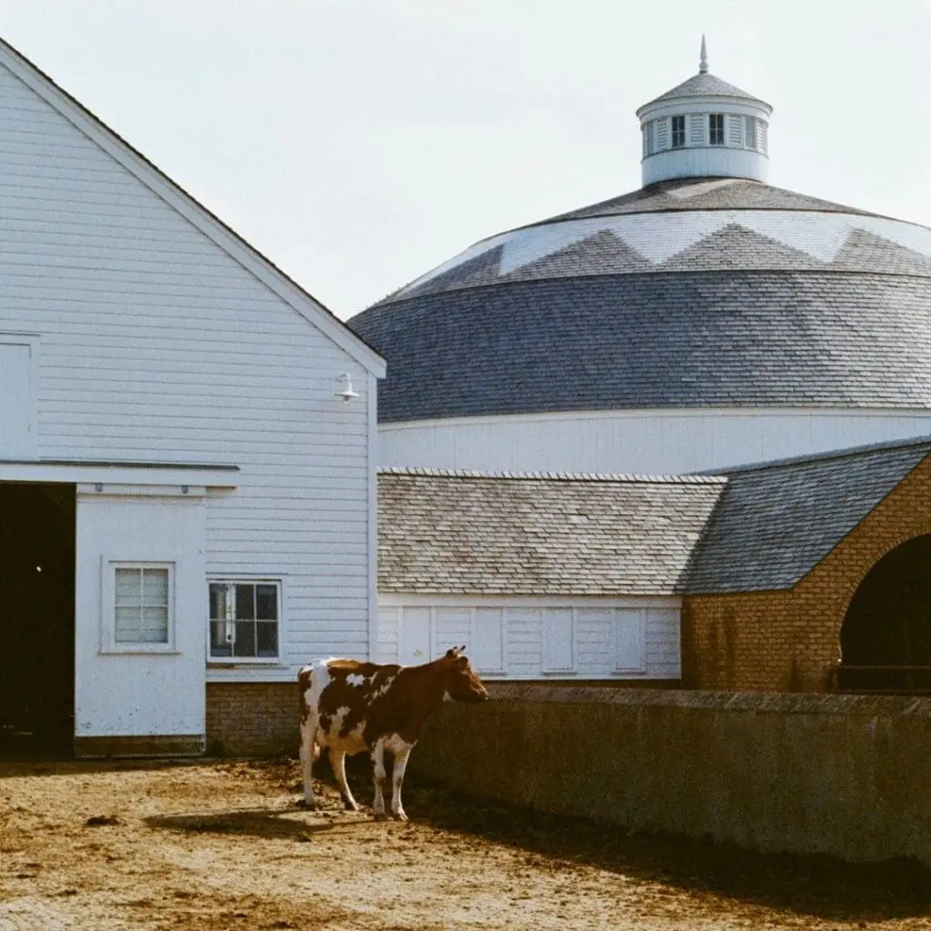 Churchtown Dairy