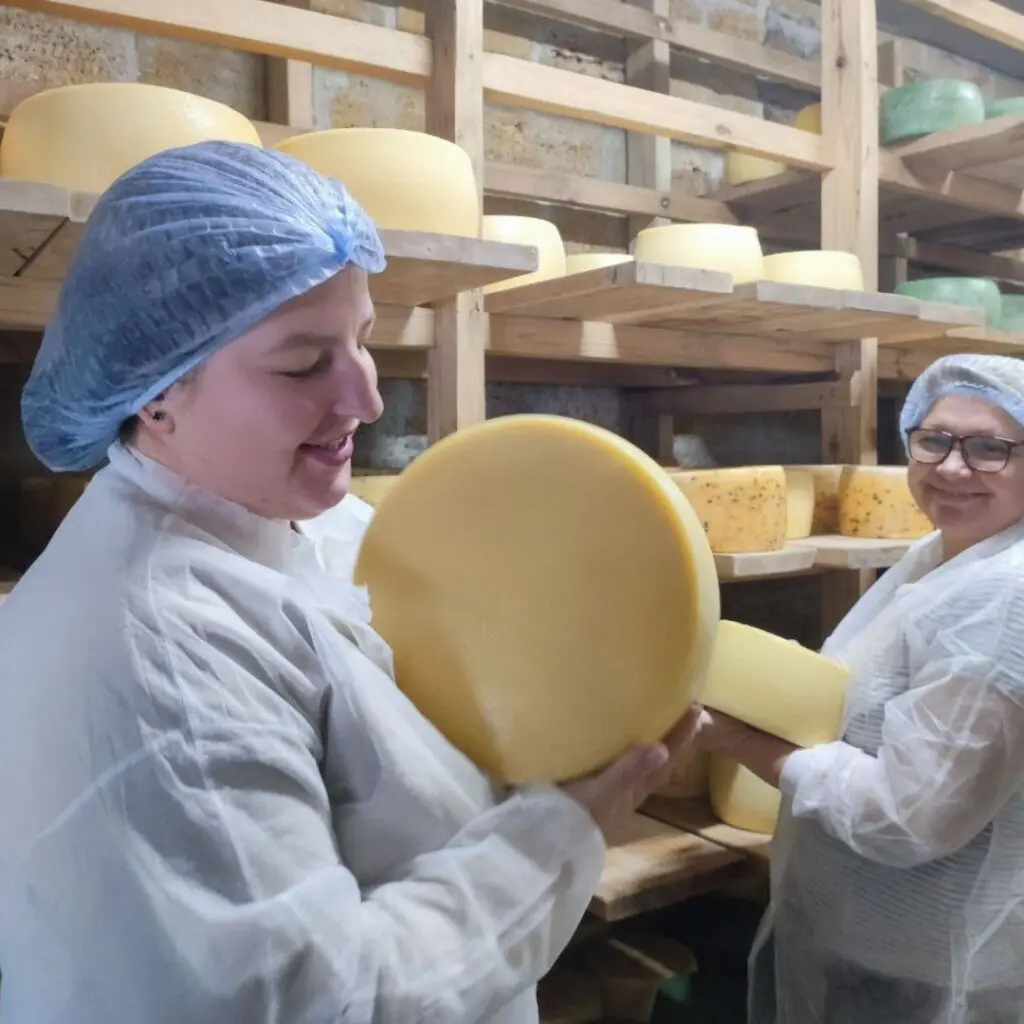 Cheese School by Iryna Demianiuk (3)