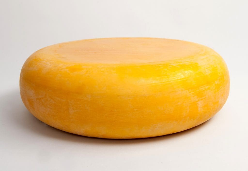 Aged Gouda - whole view