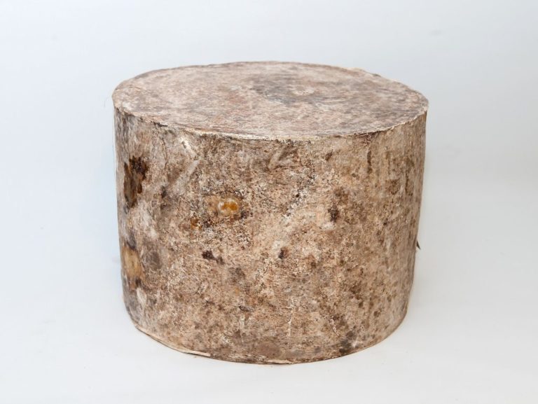 Clothbound Cheddar - whole view