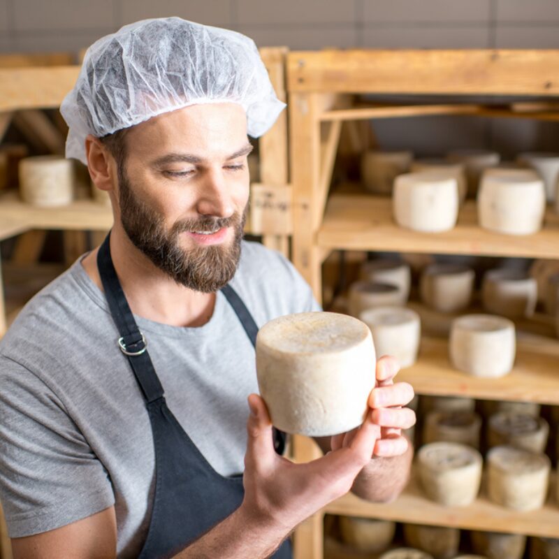 Milk Production & Cheesemaking - Academy Of Cheese