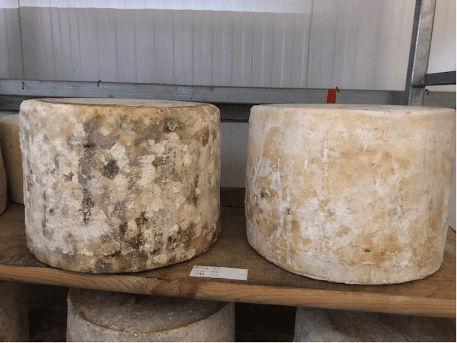 cheese maturing at Lincolnshire Poacher