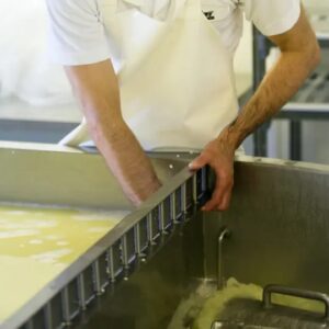 draining the whey - making cheese