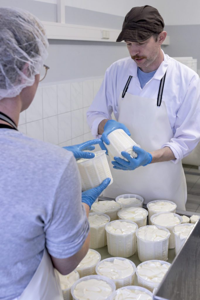 Cheesemaking introduction