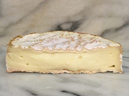 Camembert Section View