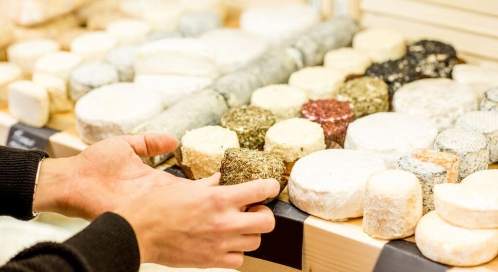 Selection of goat's cheeses on a counter