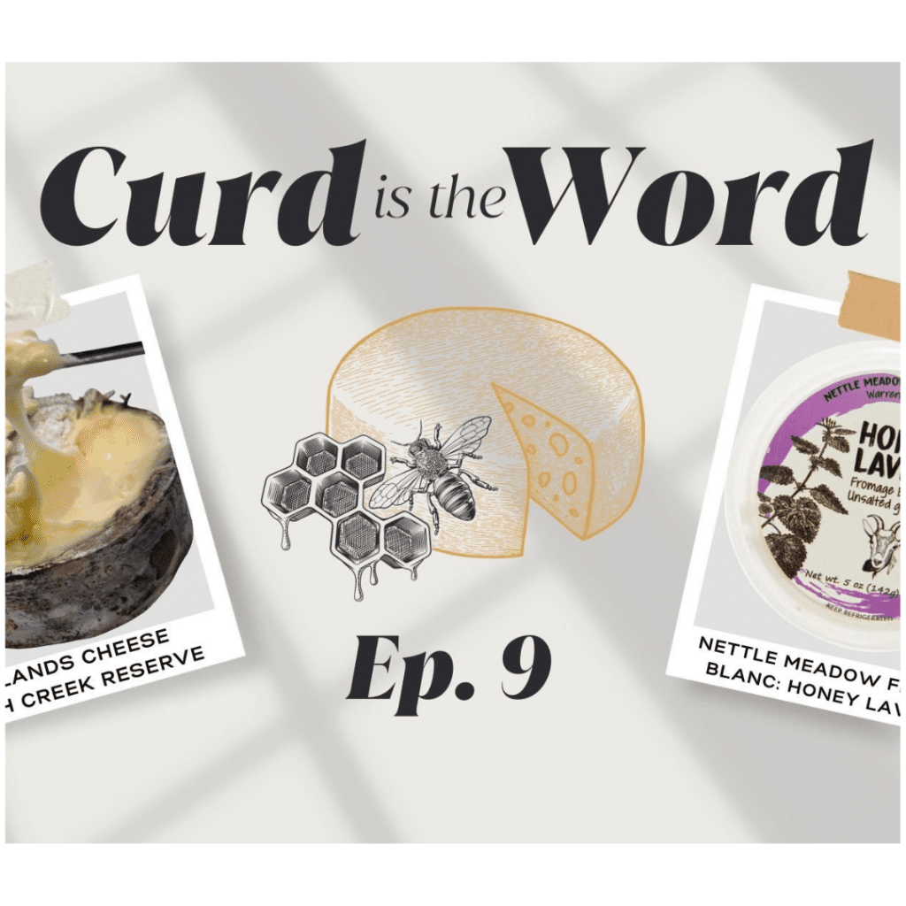 Curd is the Word Podcast Thumbnail for Episode 9