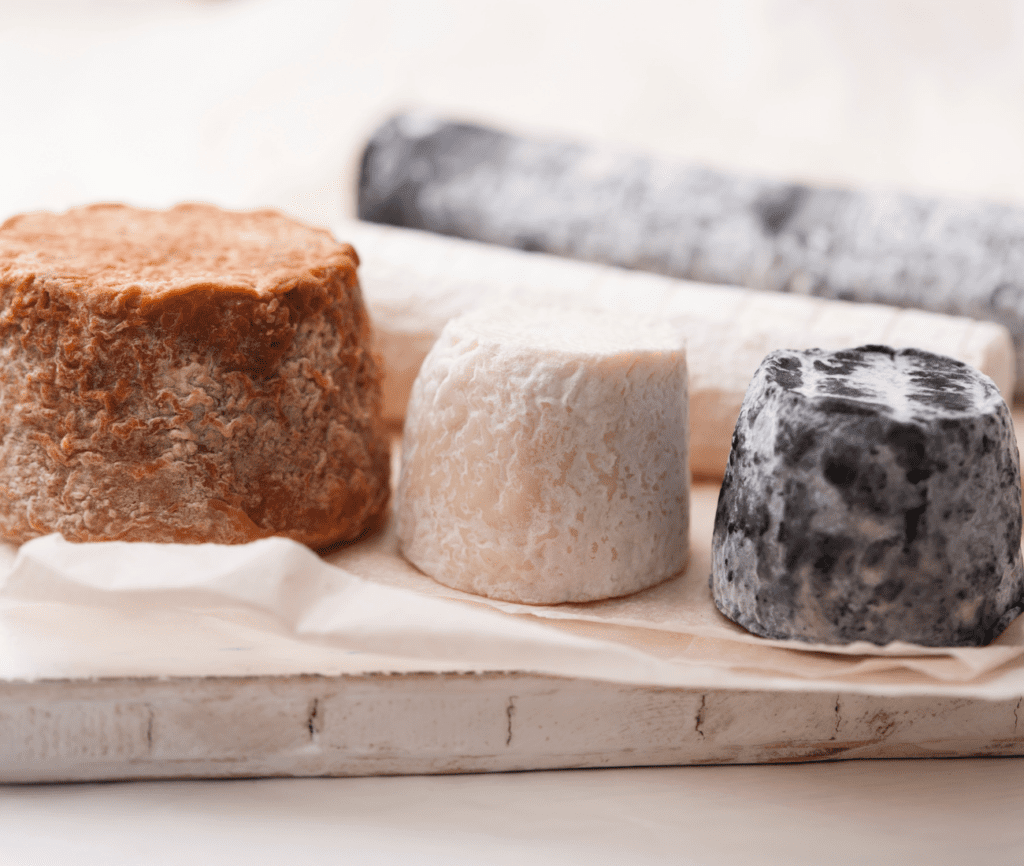 Three goats cheese on a cheese board with two goats logs behind